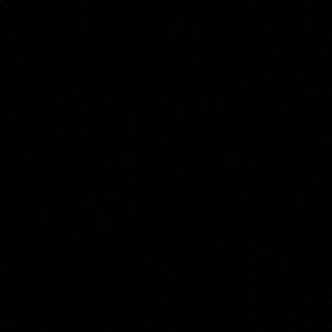 Meet your Posher, Dillon